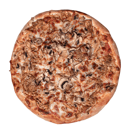 ۴۸-مرغ و قارچ