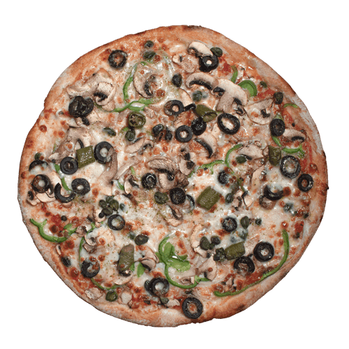 ۲-وجیتاریانا