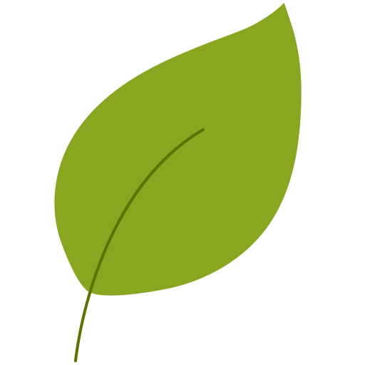 پیتزای گیاهی